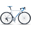 !CYCLES (イーエムサイクルズ) R101! クロモリロードバイク 完成車